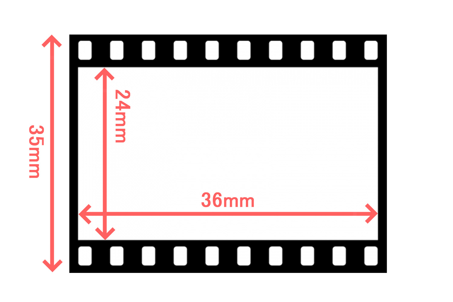 フィルムのイメージサイズ