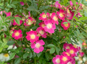 なるみかた - Narumikata