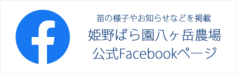 Facebookバナー