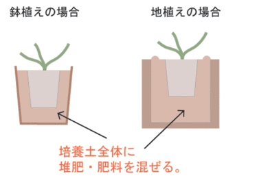 培養土全体に堆肥、肥料をよく混ぜる