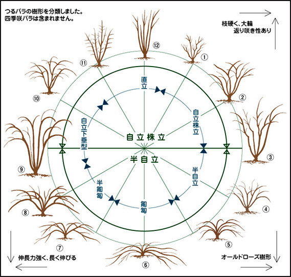 樹形図