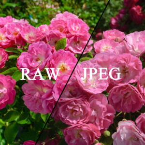 RAWデータを保存してみよう - カメラの画質設定「JPEG」と「RAW」の違い