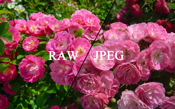 RAWデータを保存してみよう - カメラの画質設定「JPEG」と「RAW」の違い